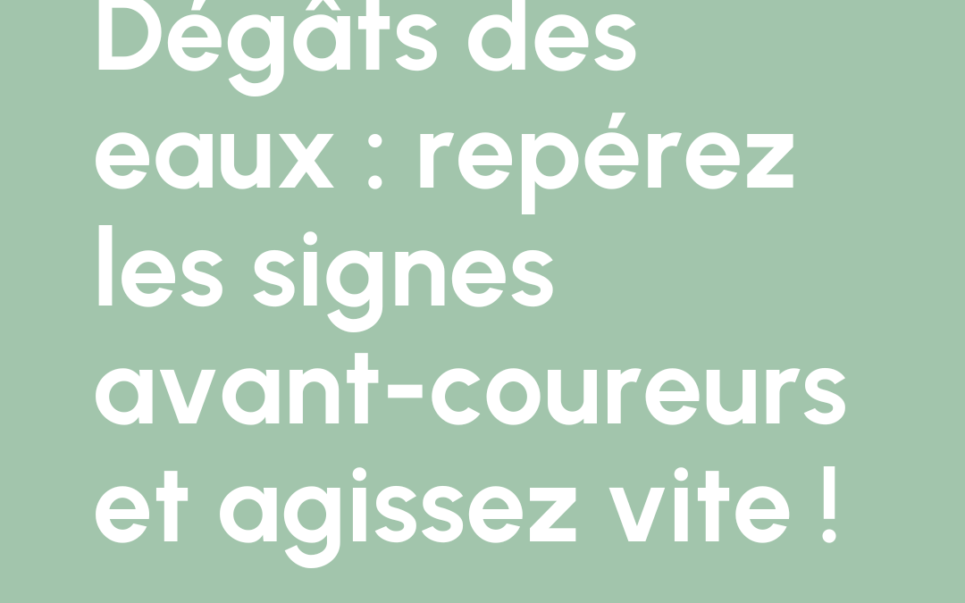 Dégâts des eaux : repérez les signes avant-coureurs et agissez vite !