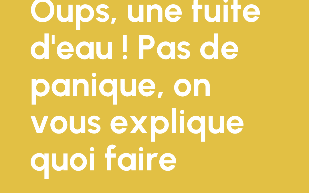 Oups, une fuite d’eau ! Pas de panique, on vous explique quoi faire